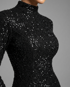 Galaxy – Sequin Turtleneck Maxi Dress in Black
